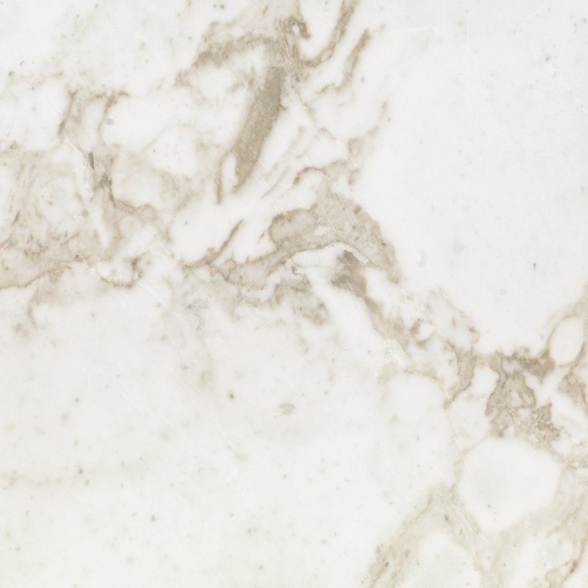 Calacatta Cerviole						White						 Marble Natural Stone