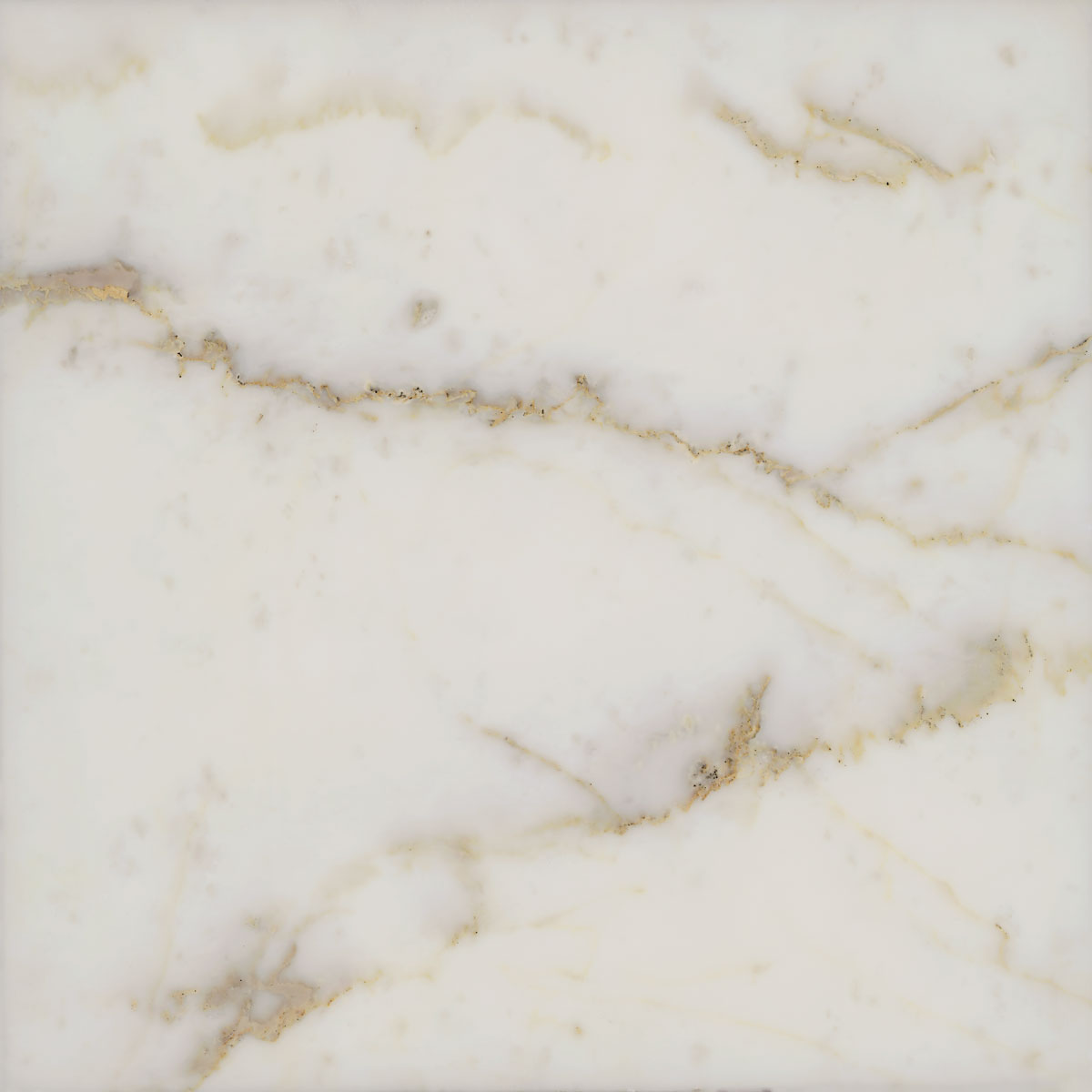 Calacatta Oro						White						 Natural Stone Marble
