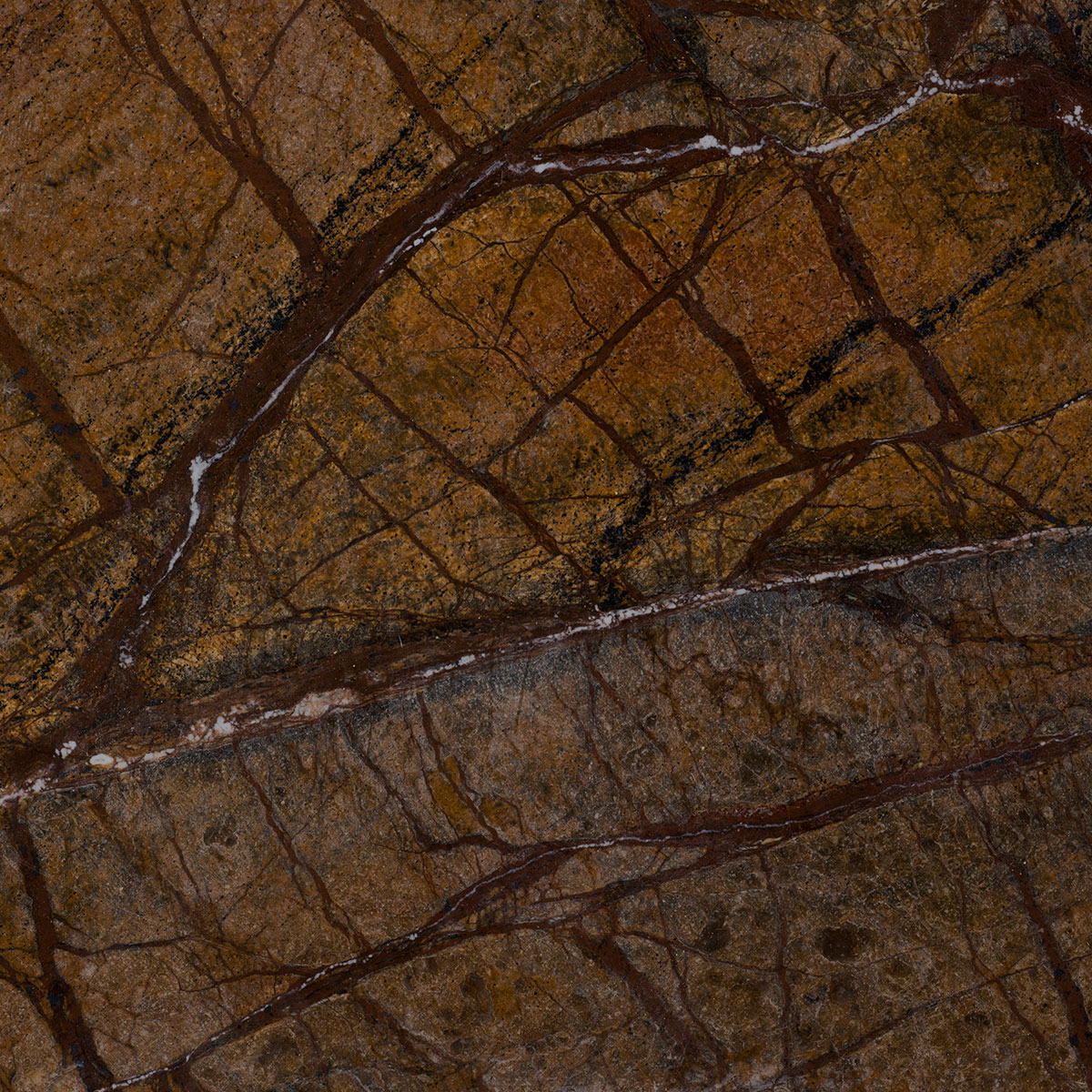 Forest Brown Polished						BrownExotic Colors						 Marble Natural Stone